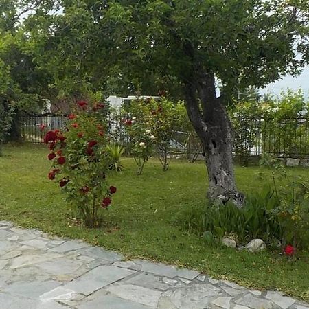 Katerina'S Holiday Home Κρυοπηγή Εξωτερικό φωτογραφία